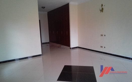 luxurious Apartments in luzira