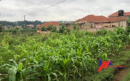 Apartments for sale in Bukoto