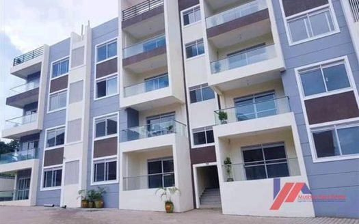 Apartments for sale in muyenga