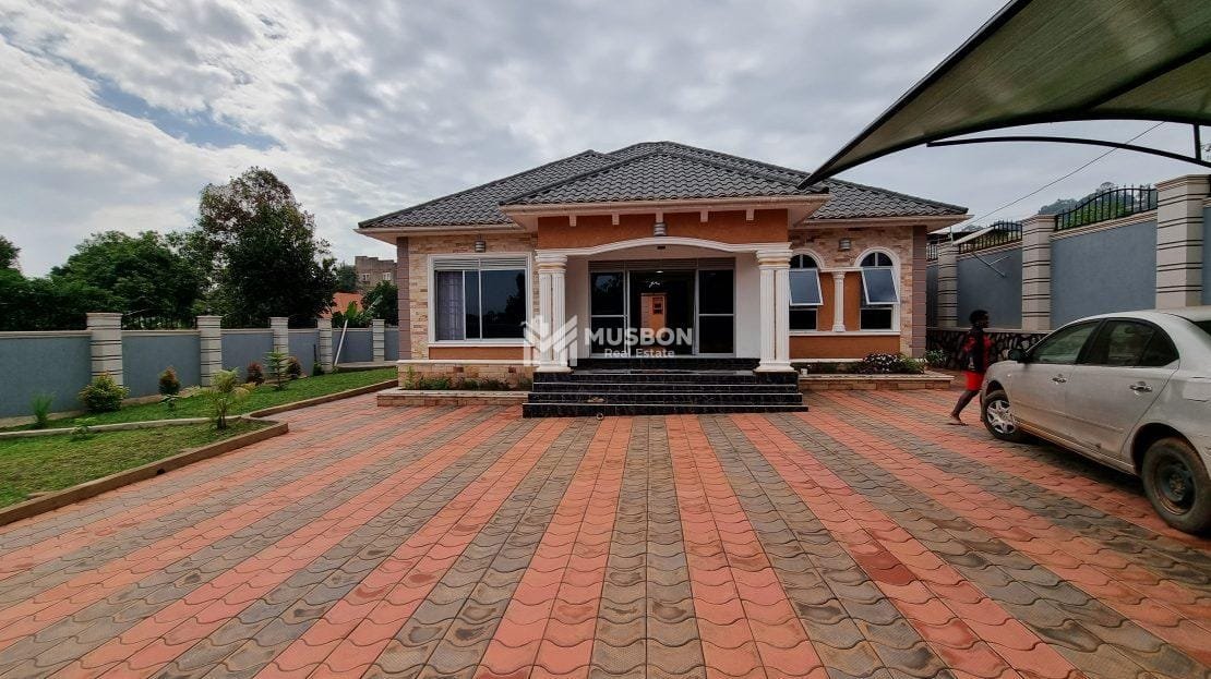 video image