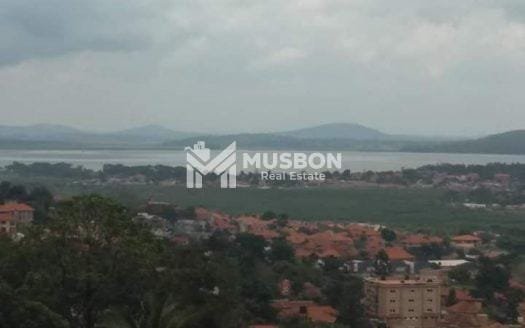 60 decimals for sale in Muyenga Tankhill