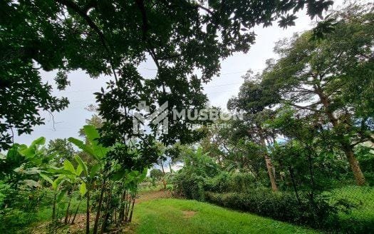 3 acres for sale in Munyonyo