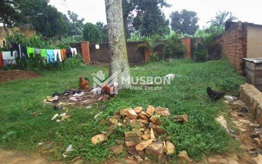 STANDALONE HOUSE FOR RENT