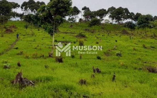 400 acres for sale in Bujuko