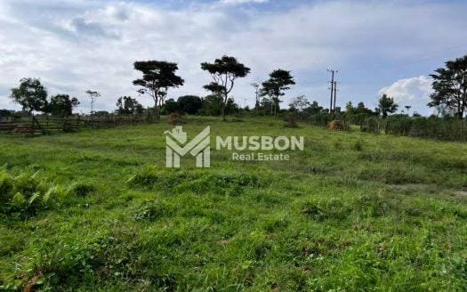 400 acres for sale in Bujuko