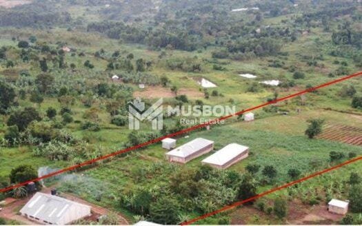 13 acre  mixed poultry farm for sale