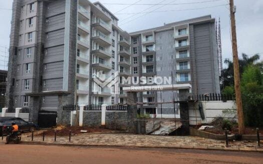 Luxury Apartment For Rent In Kololo