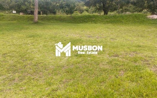 Land for quick sale Mukono-50 decimals