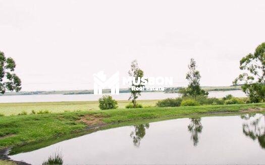 Land for sale in Garuga- lake side-5 acres