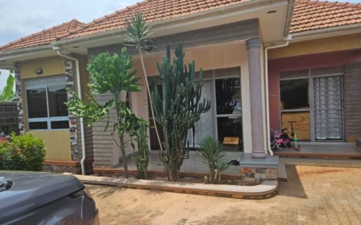 Spacious new house in kira