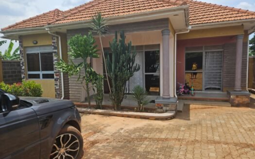 Spacious new house in kira