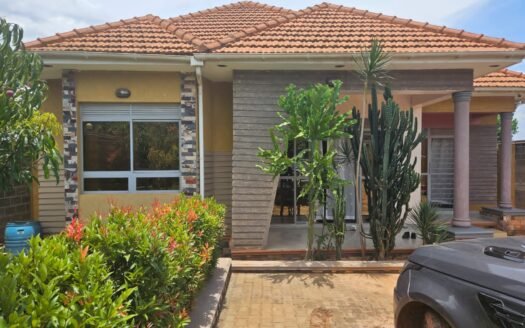 Spacious new house in kira