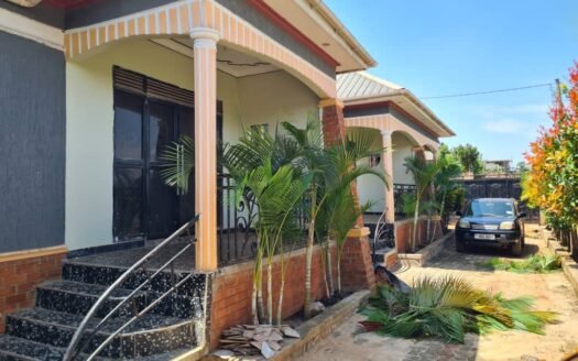 Rentals for sale in matugga