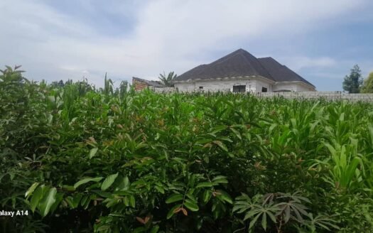 Land for sale in mukono, 100/100 feet