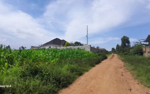 Land for sale in mukono, 100/100 feet